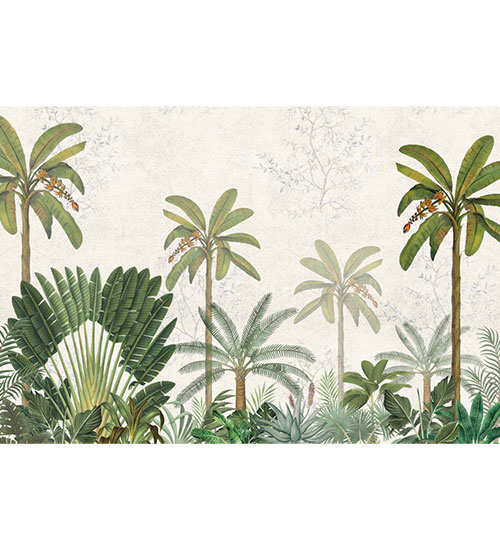 Tropical Canopy